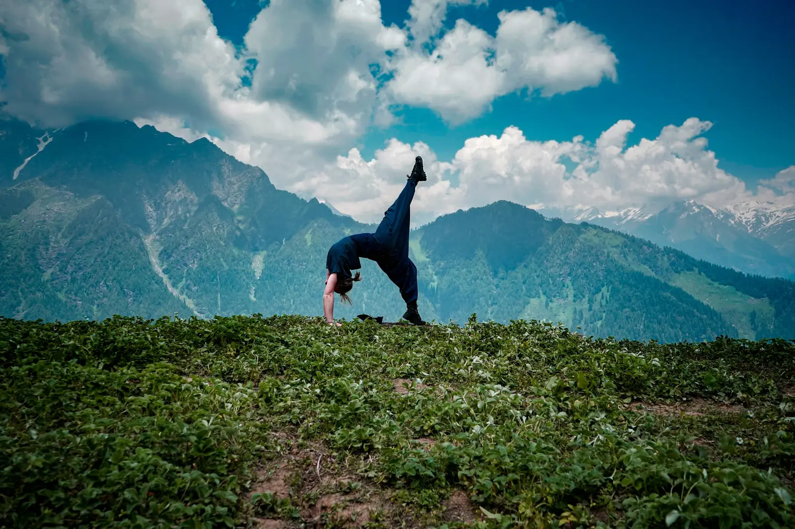 Wellness Retreat: Yoga and Meditation at Our Resort from Himalaya Forest Resort in Pokhara
