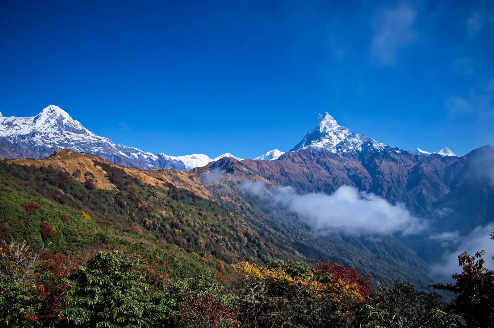 Exploring the Annapurna Conservation Area from Himalaya Forest Resort in Pokhara