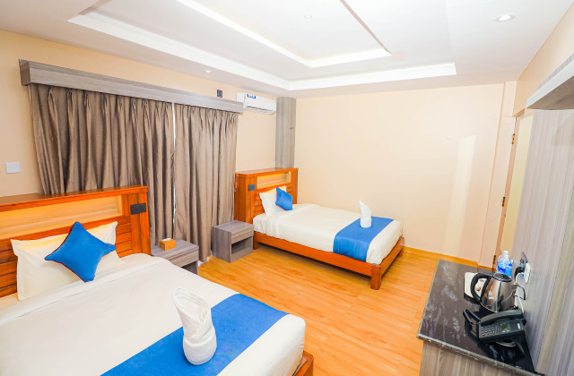 Deluxe Twin Room